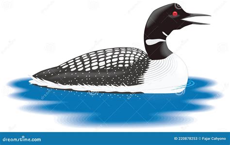 Loon Clipart Stock Illustrations 6 Loon Clipart Stock Illustrations