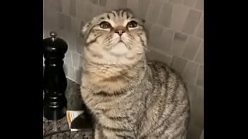 Jogando Videogame A Amiga Safada Mas Ela Me Pegou Desprevinido XVIDEOS