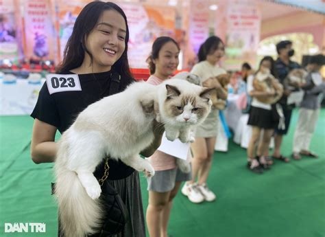 Hot girl mang thú cưng nghìn USD đến ngày hội độc đáo ở TPHCM Báo Dân trí