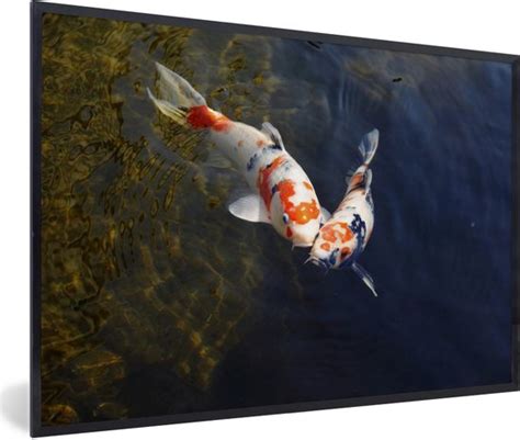 Fotolijst Incl Poster Twee Koi Karpers In Het Water 120x80 Cm