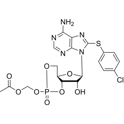 8 CPT CAMP AM 8 4 Chlorophenylthio CAMP AM CAMP Analogue