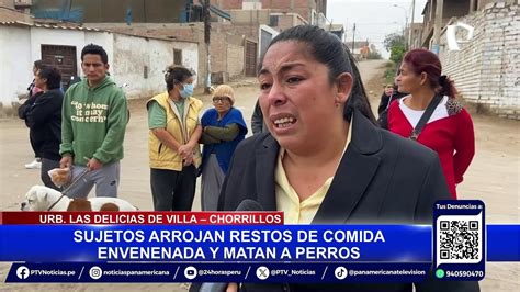 Chorrillos Vecinos Atemorizados Luego De Que Desconocidos Envenenaran