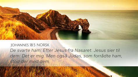 Johannes 18 5 NORSK Desktop Wallpaper De Svarte Ham Efter Jesus Fra