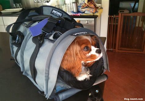 The Sherpa Pet Carrier Backpack - A Hands-Free Approach to Dog Carriers ...