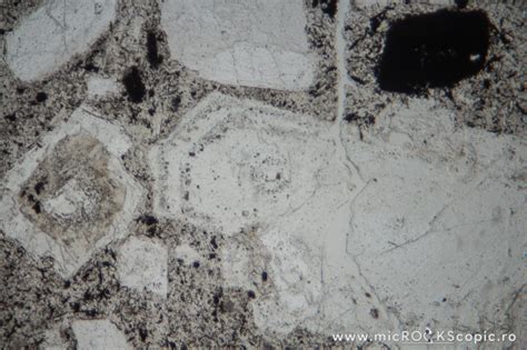 Plagioclase thin section - Tectosilicates - MicROCKScopic