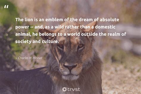 Top Lion Quotes Images Amazing Collection Lion Quotes Images Full K