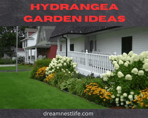 Hydrangea Garden Ideas | Transform Your Outdoor Space