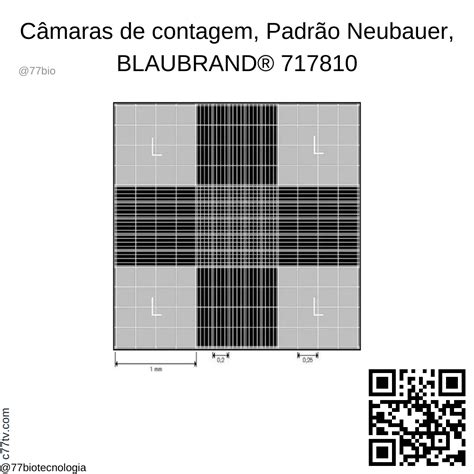 Câmara de contagem BRAND BLAUBRAND Neubauer melhorado sem clipes