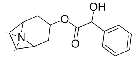 Dimethyl Lambda Azabicyclo Oct Yl Hydroxy Phenyl