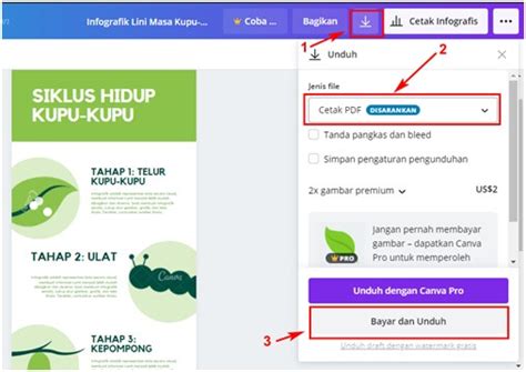 Cara Membuat Infografis Yang Menarik Dan Efektif Di Word Canva Dan