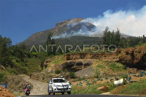 Kebakaran Hutan Gunung Sindoro Antara Foto