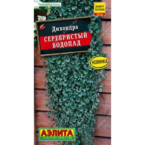 Дихондра Серебристый водопад Аэлита 3шт Аэлита купить от 210 рублей в ...
