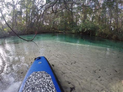 Kayaking at Weeki Wachee Springs | Kayaking, Springs, Trip