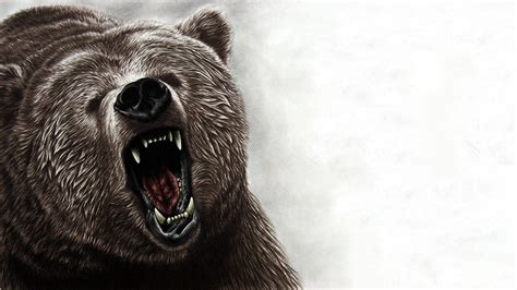 Grizzly Bear Wallpapers - Top Free Grizzly Bear Backgrounds ...