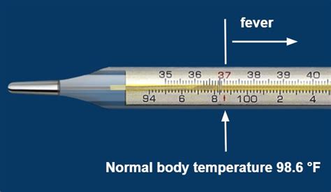 How Does A Clinical Thermometer Measure The Fever Of A Patient