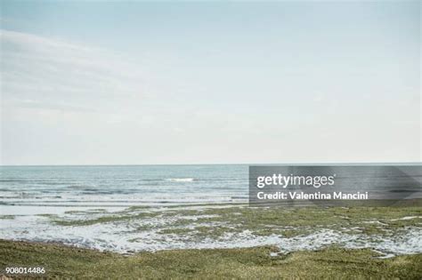 64 Chioggia Beaches Stock Photos, High-Res Pictures, and Images - Getty ...