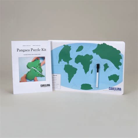 Pangaea Puzzle 1-Station Kit | Carolina.com