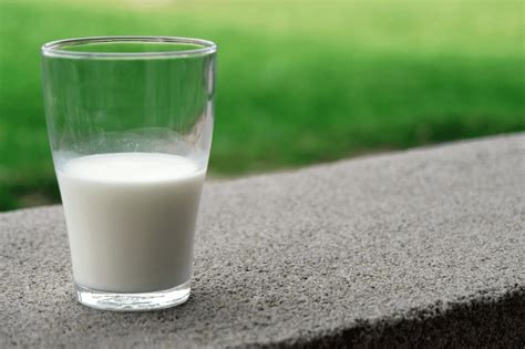 Homogenization of Milk: What It Means and How It Works - SaintyTec 