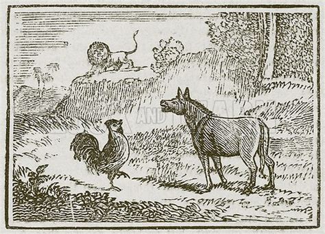 The Ass The Lion And The Cock Stock Image Look And Learn