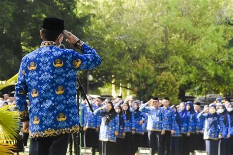 Peluang Bagi Honorer Ada Kesempatan Untuk Jadi Asn Pppk Hingga Akhir