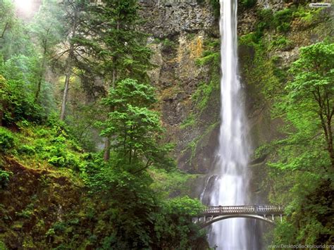 Youwall Multnomah Falls Wallpapers Wallpaper Wallpapers Free