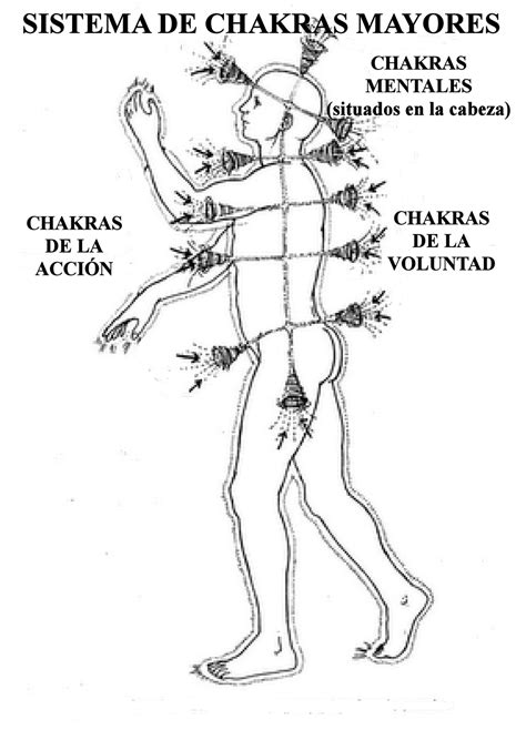 Sistema de Sanación Natural Tinerfe Sistema de Chakras Mayores