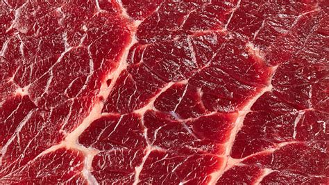 meat stock  pictures royalty  images istock
