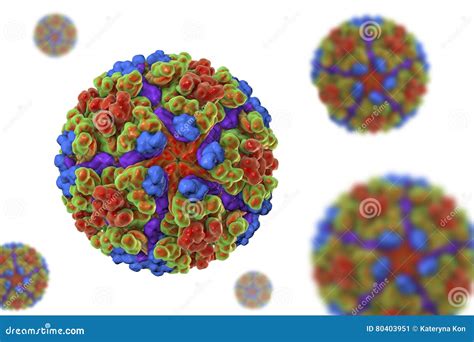 Ejemplo Del Virus De Chikungunya Stock De Ilustración Ilustración De