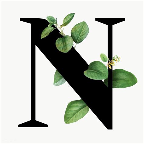 Botanical Capital Letter N Transparent Png Premium Image By Rawpixel