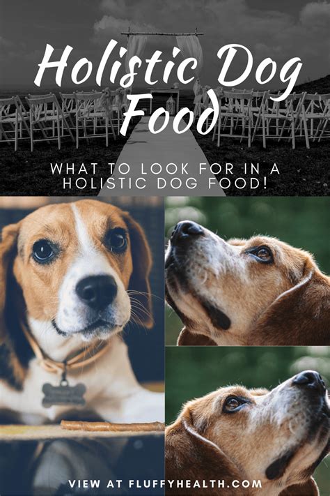 Best Holistic Dog Food, #1 Brand To Choose! | FluffyHealth | Fluffyhealth