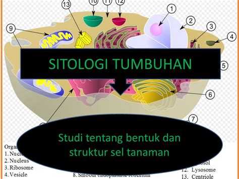 Sitologi Tumbuhan