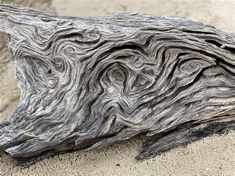 Driftwood Beach - Free photo on Pixabay - Pixabay