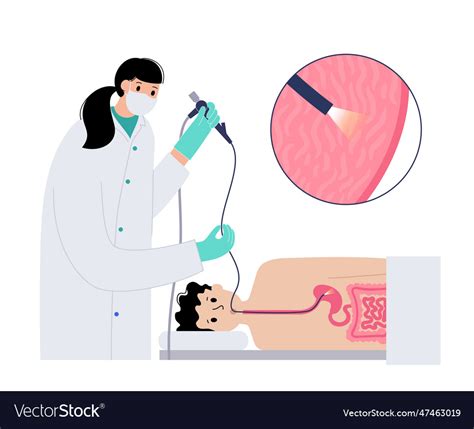 Gastroscopy Endoscopy Procedure Royalty Free Vector Image