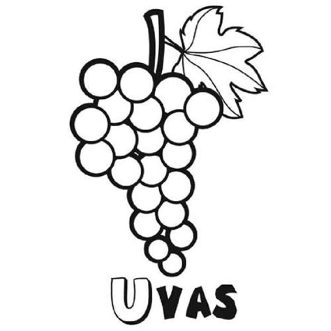 Dibujo De Racimo De Uvas Para Pintar