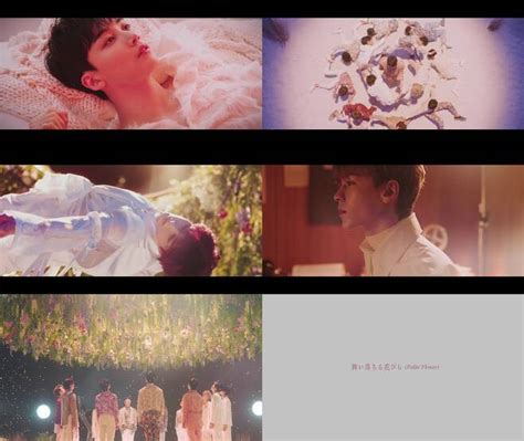 SEVENTEEN Blooms With Upcoming Japanese Single "Fallin' Flower" Music ...