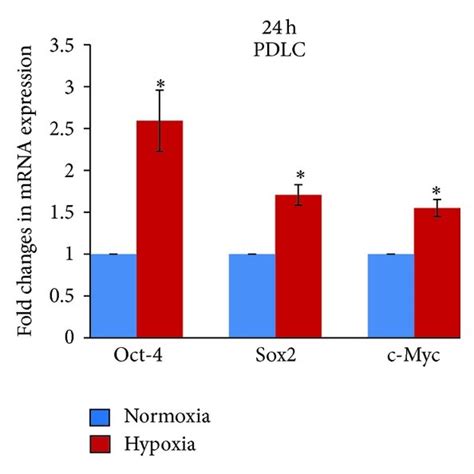 Effect Of Hypoxia On The MRNA Expression Levels Of Oct 4 Sox2 And