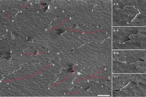 Thirty Screw Dislocation Cores Are Marked In This Low Magnification SEM