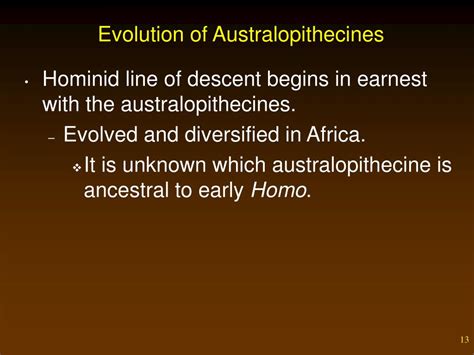 PPT - Human Evolution PowerPoint Presentation, free download - ID:1805433