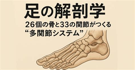 furukawafeet