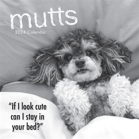 TGSC Mutts Wall Calendar 2024 16 Months Monthly 2023 Calendar