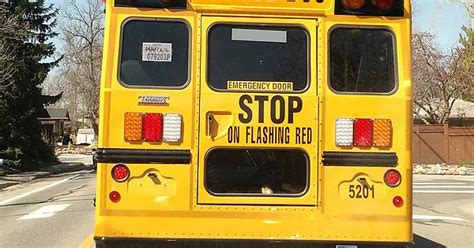 This School Bus Has A Temporary License Plate Imgur