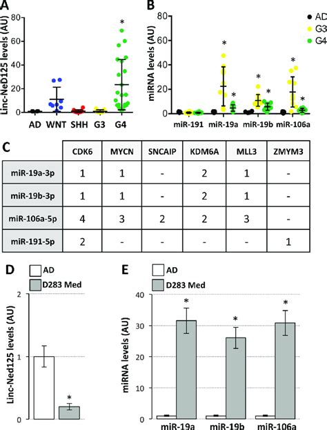 Expression Of Linc Ned And Interacting Mirnas In Primary Mbs And