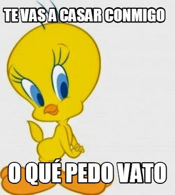 Meme Creator Funny Te Vas A Casar Conmigo O Qu Pedo Vato Meme