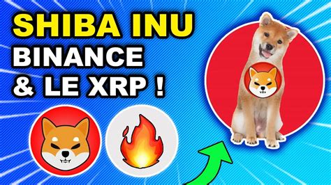 SHIBA INU BINANCE DEVOILE SON NOMBRE DE SHIB Et XRP LA SUITE POUR