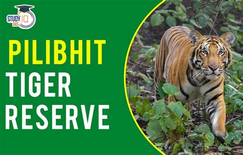 Pilibhit Tiger Reserve Map Flora Fauna Significance