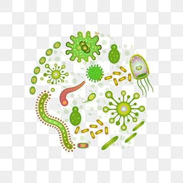 Biology Cells Clipart In Biology