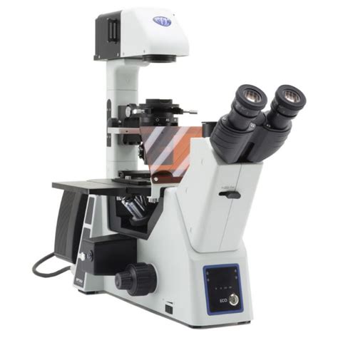 Optika Inverted Microscope IM 5FLD FL Trino Invers 10x24mm AL DL