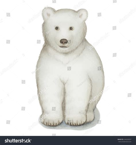 Polar Bear Watercolor Vector Illustration Isolated Stock Vector