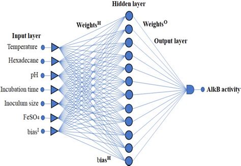 Feed Forward Neural Network Architecture Ie 6 12 1 Topology