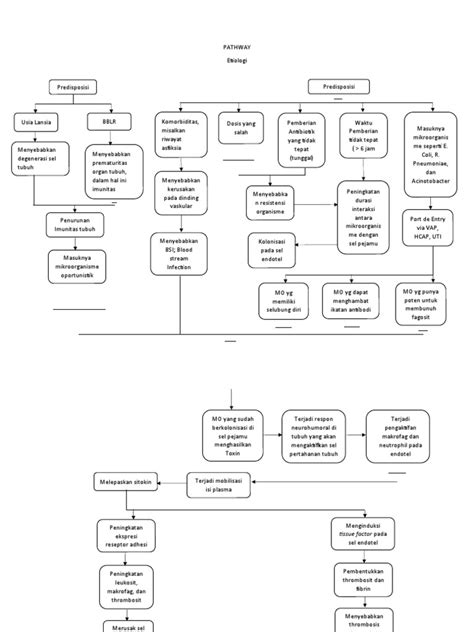 Pathway Syok Sepsis Pdf